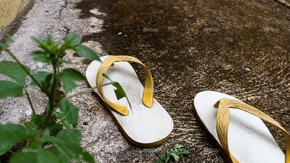 This photo shows a pair of flip-flops left on a mossy floor, giving a natural and solitude feel. White flip-flops with yellow straps create a contrast to the cement floor