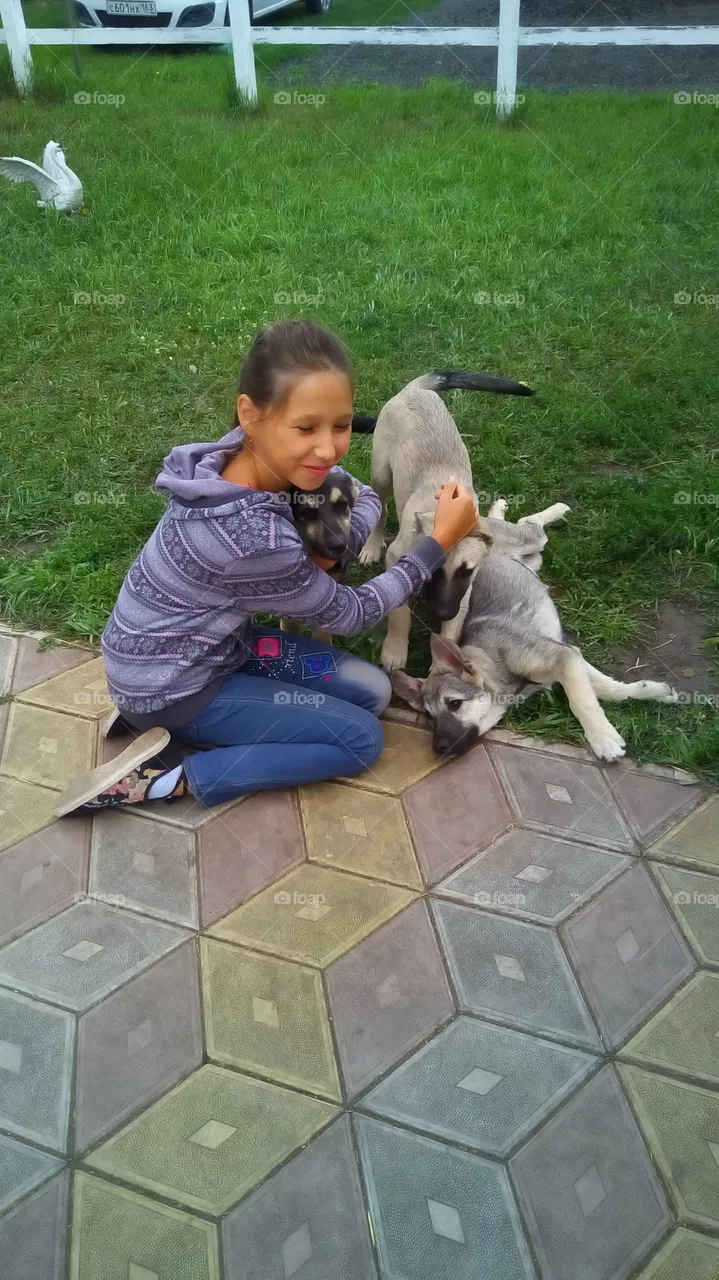 my Dogs