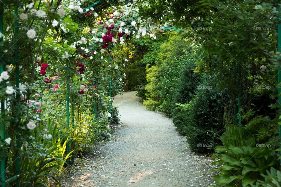 Paths into the garden 