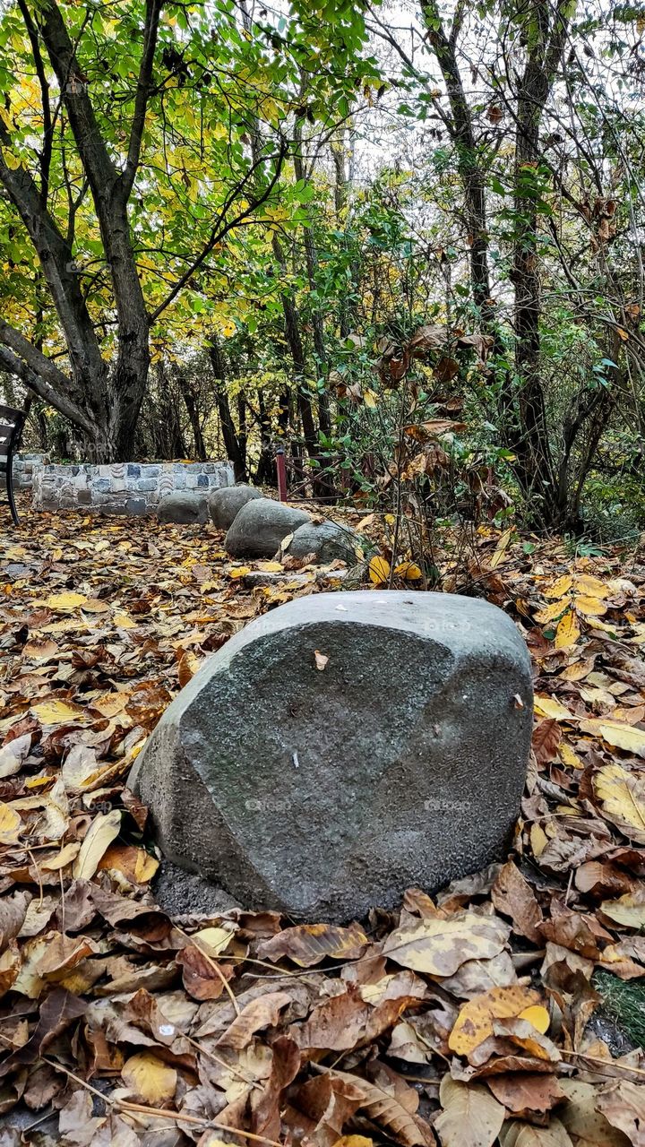 stone in autumn