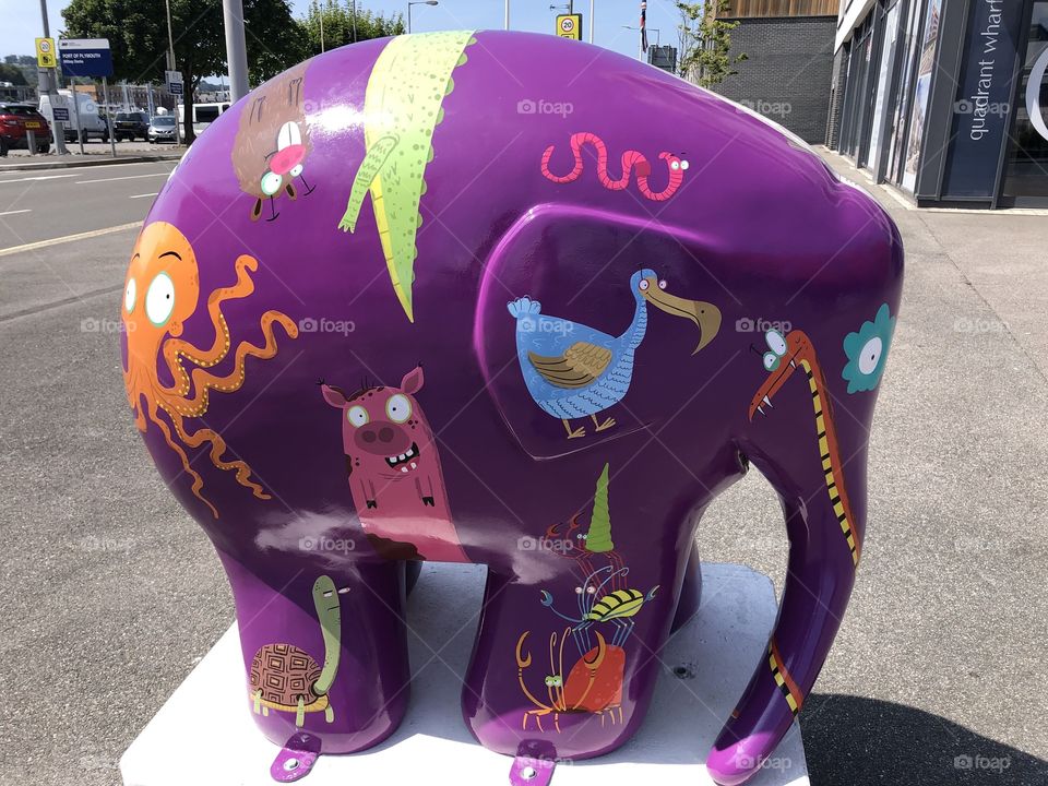 Just when l thought that was it l found another hippo, predominantly purple.