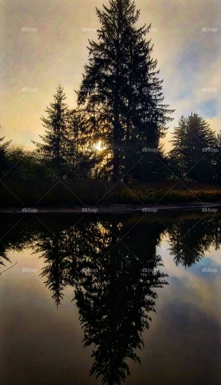 Along a river in Southern Washington lies a beautiful little picnic area where the fish disappear until 4am.