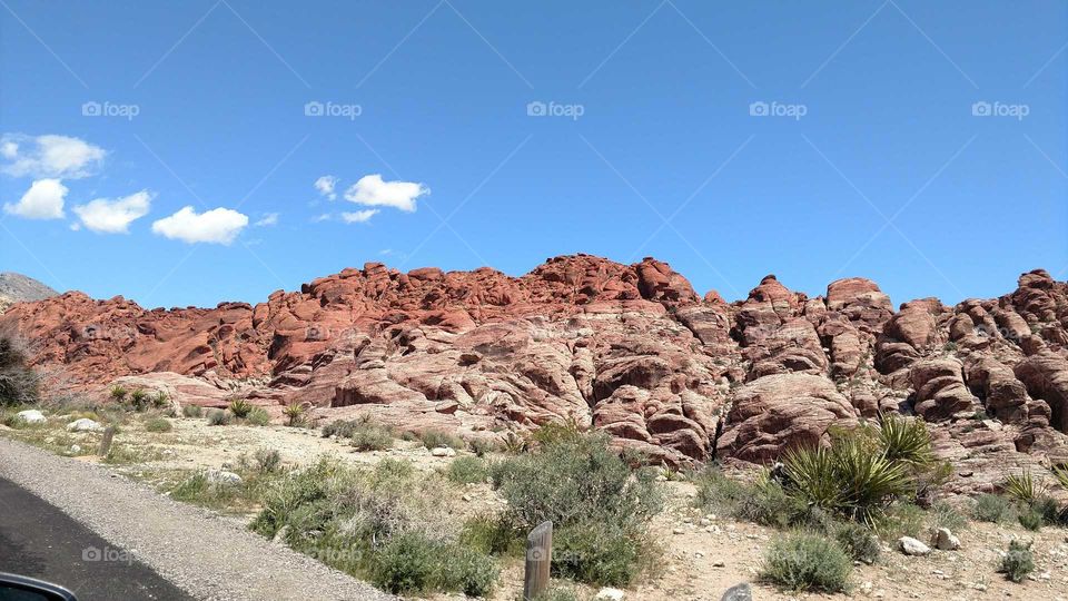 The Red Rock Canyon