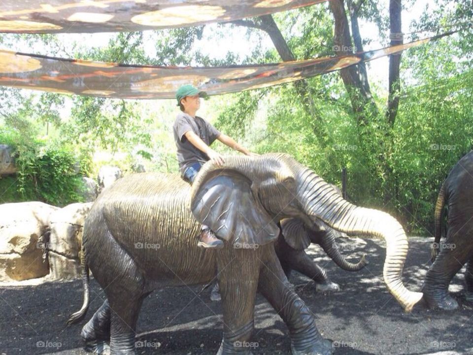 Riding elephants 