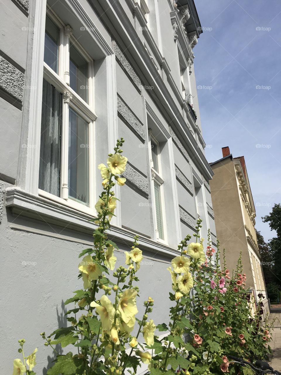 Flowers in front of building