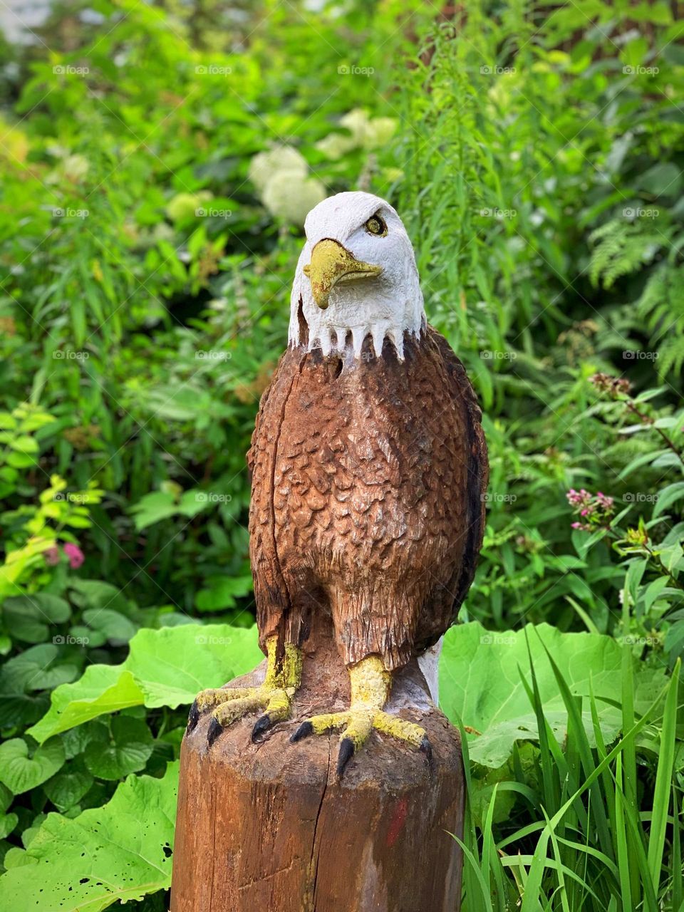 Welcome to USA 🇺🇸