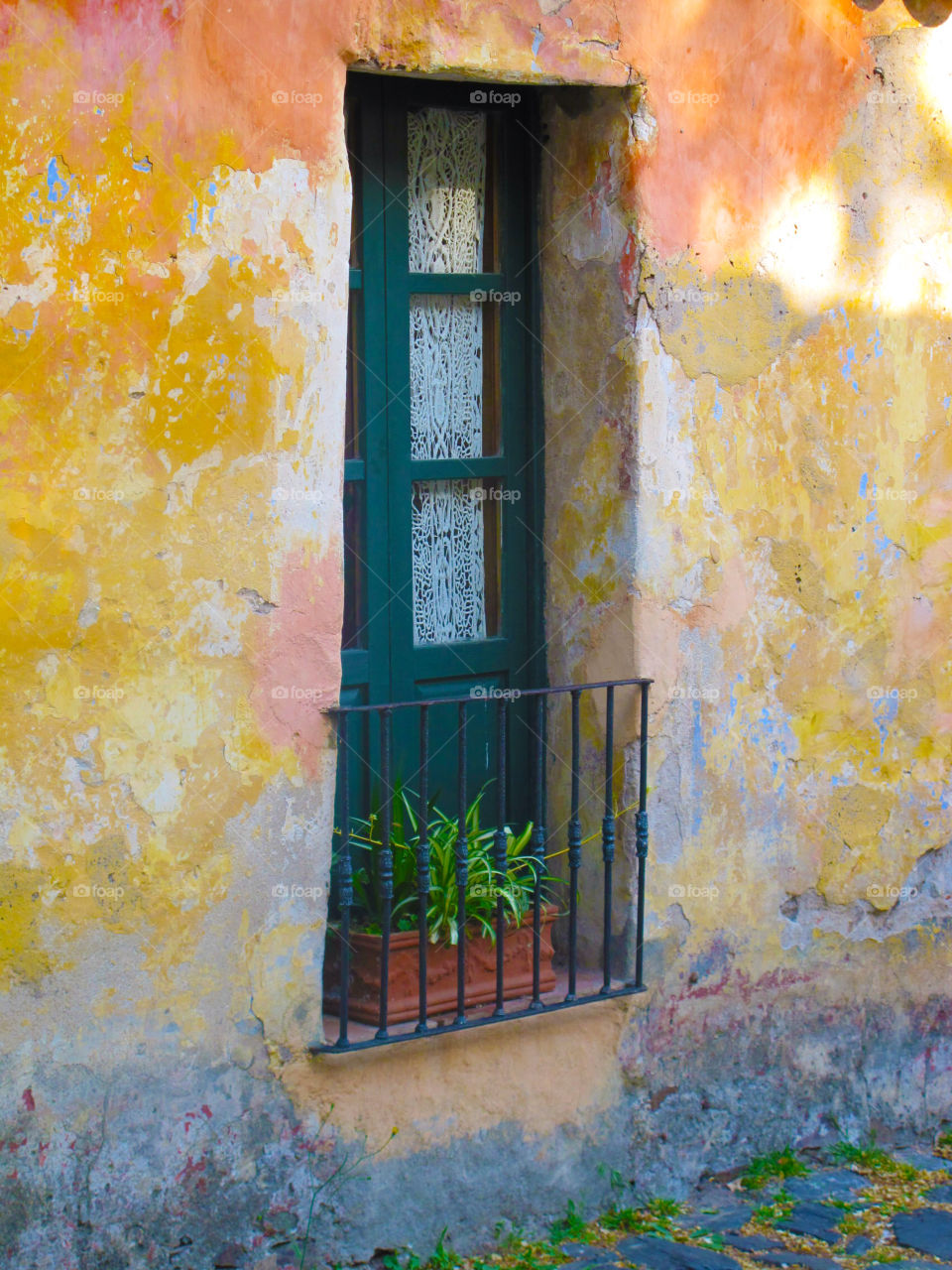 colonia del sacramento uruguay flowers window colorful by jpt4u