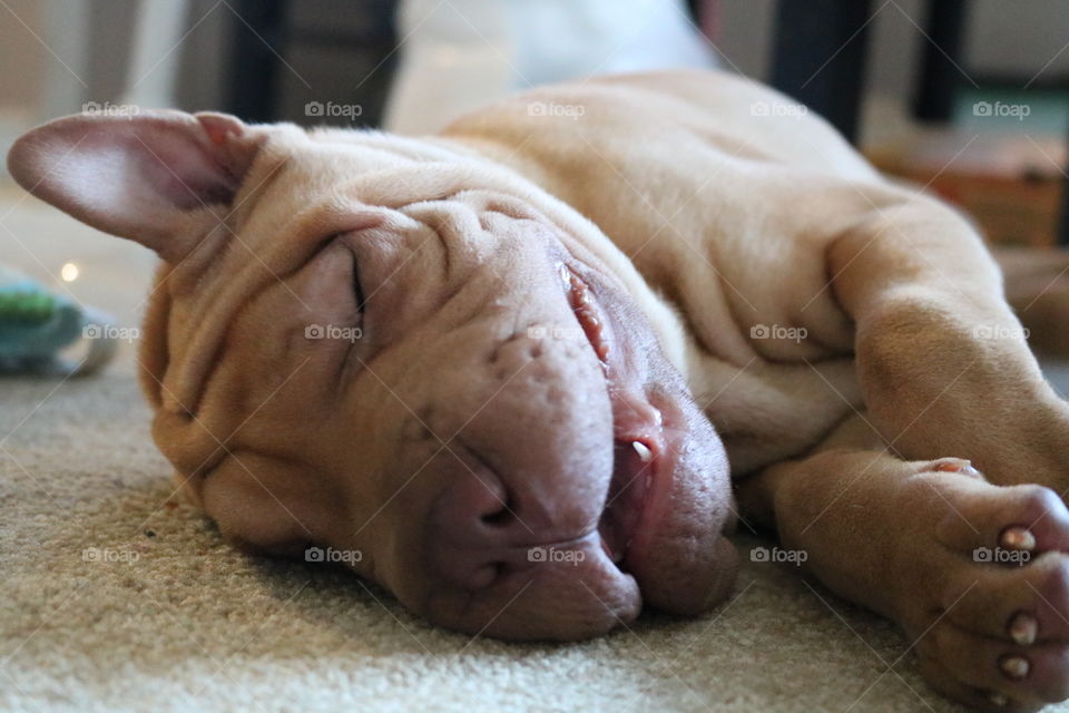 So tired