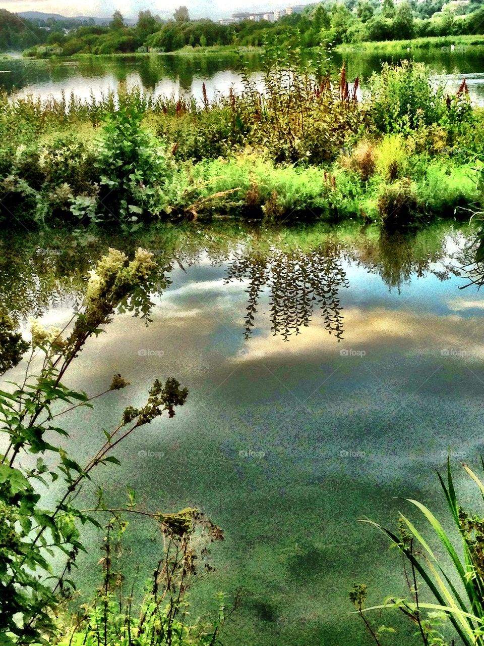 Østensjø våtmarksområde