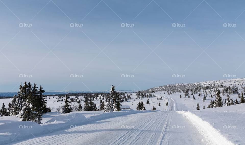 Winter Road