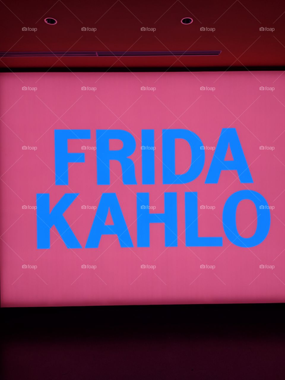 Frida kahlo sign in blue and pink from Brooklyn Museum exhibit