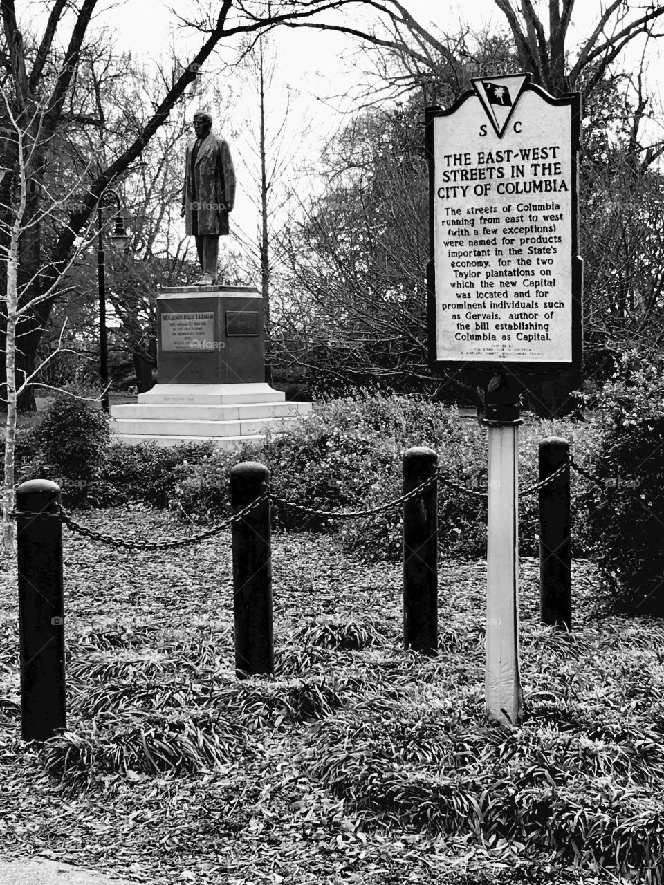 Statue in South Carolina 