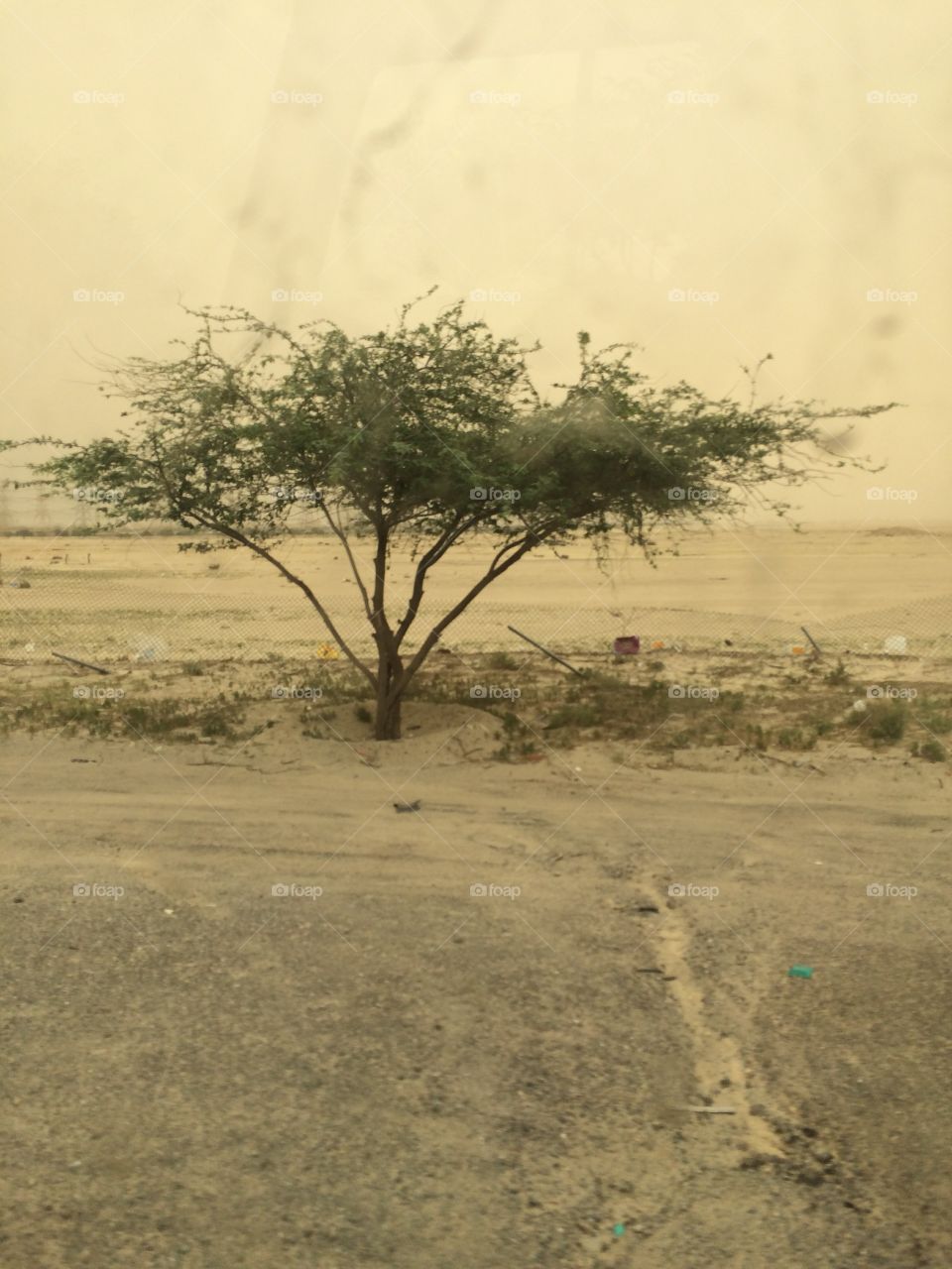 Kuwait landscape