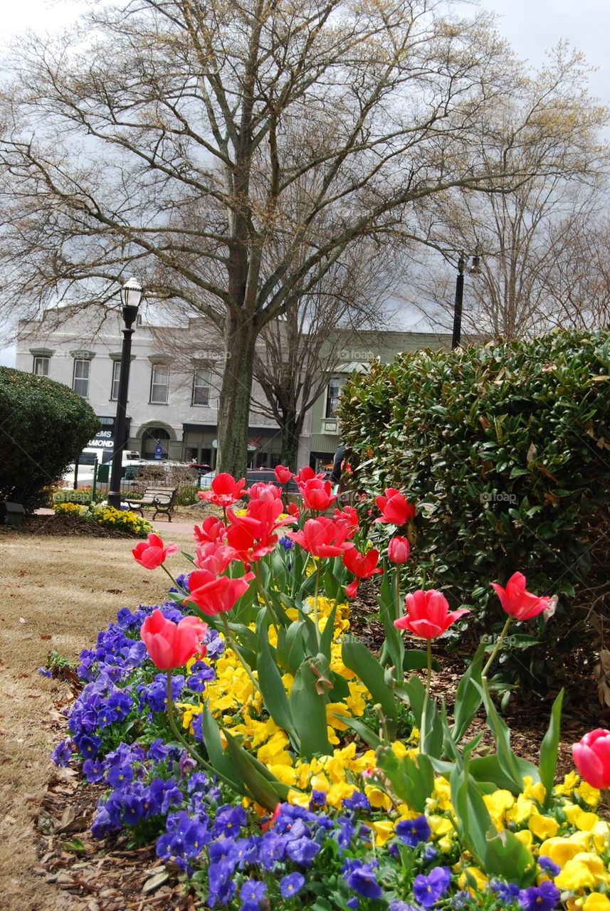 Flower garden