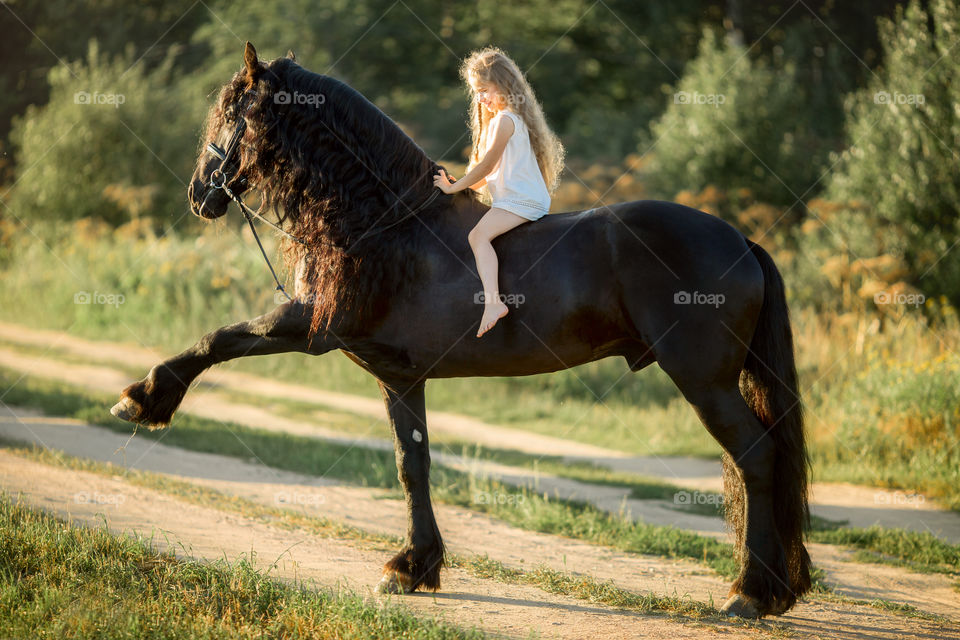 Little Girl with black fresian stallion in summer evening 