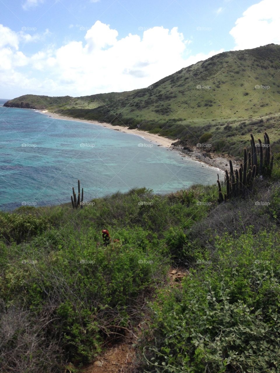 Hiking in St Croix