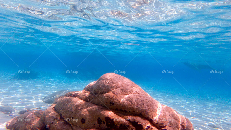 Rock formation in undersea
