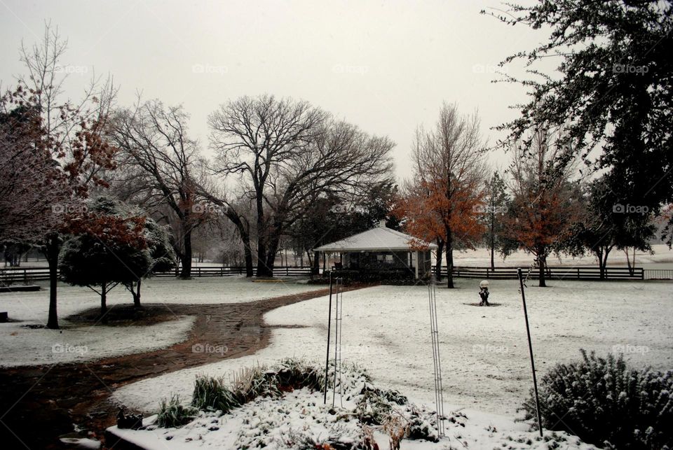 Snow day. Rare snow day in Texas
