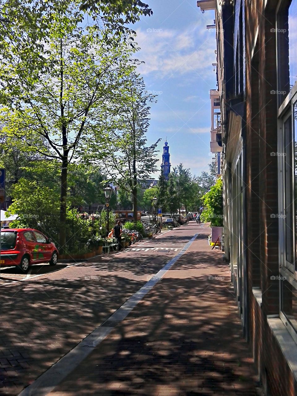 Amsterdam street. Green street in the middle of Amsterdam