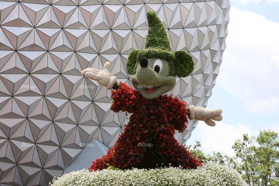 Epcot festival of flowers