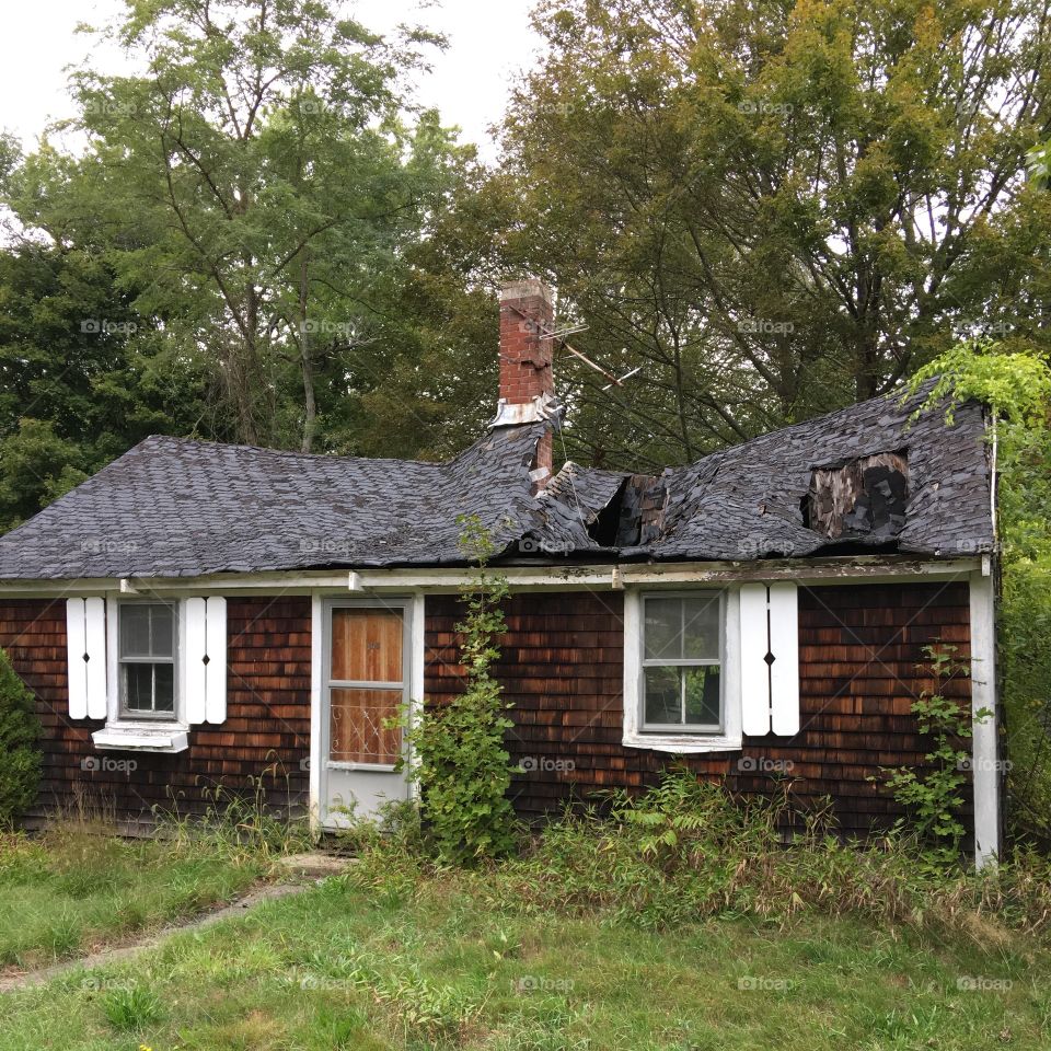 Small ranch abandoned & reclaimed by weeds & overgrowth!
