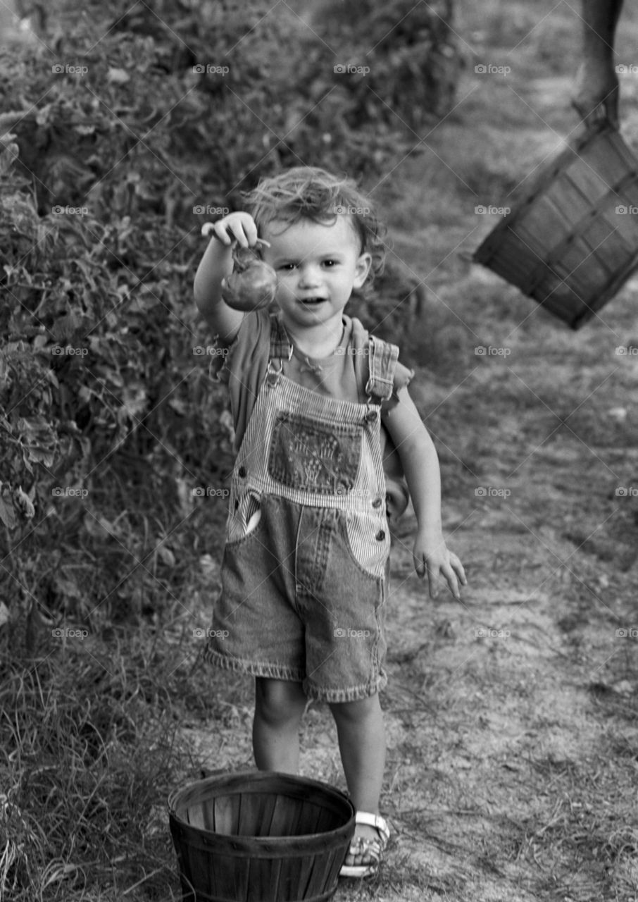 Cute boy showing fruit in the garden