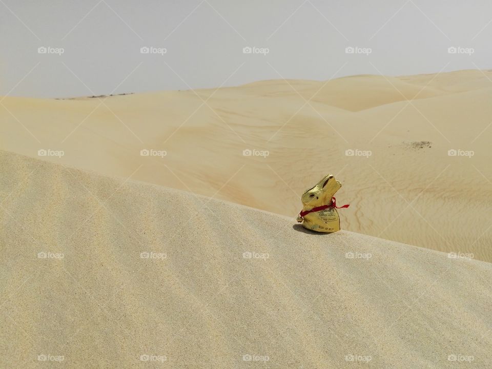 Schokoosterhase im Wüstensand
