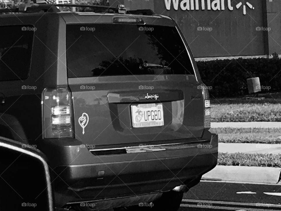 Unique Florida license plate collection UPG8D