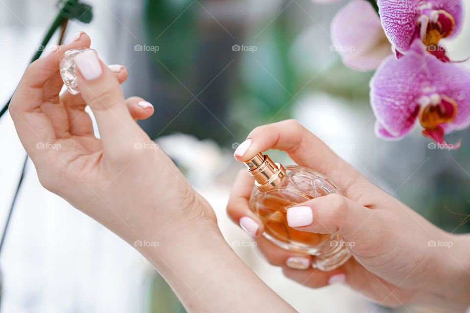 Woman hands holding a bottle of perfume. Feminine and elegance.  spraying  perfume on wrist
