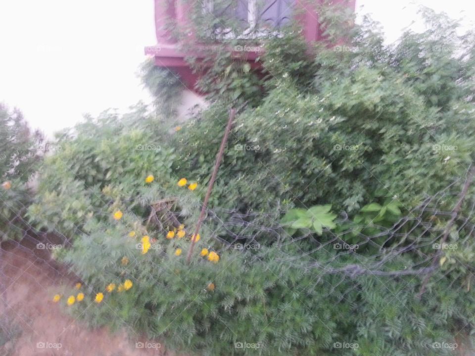 Please make me happy, I am poor, I need your help with support