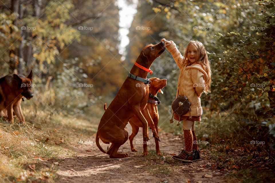 Little girl playing with dogs in an autumn park