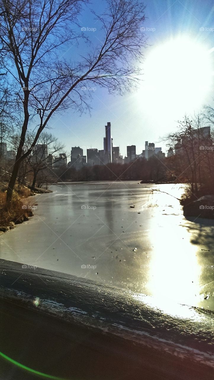 Winter's last grip of New York