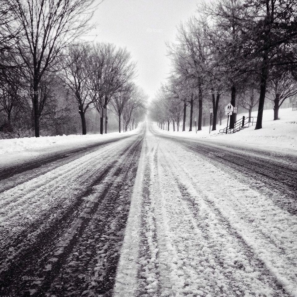 Aftermath of winter storm