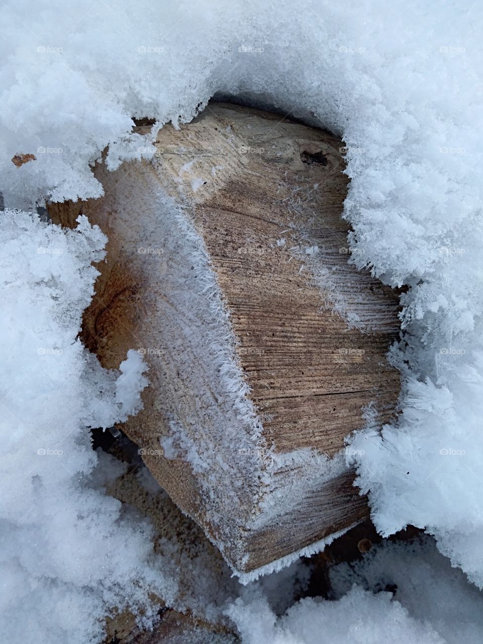 Frozen piece of wood