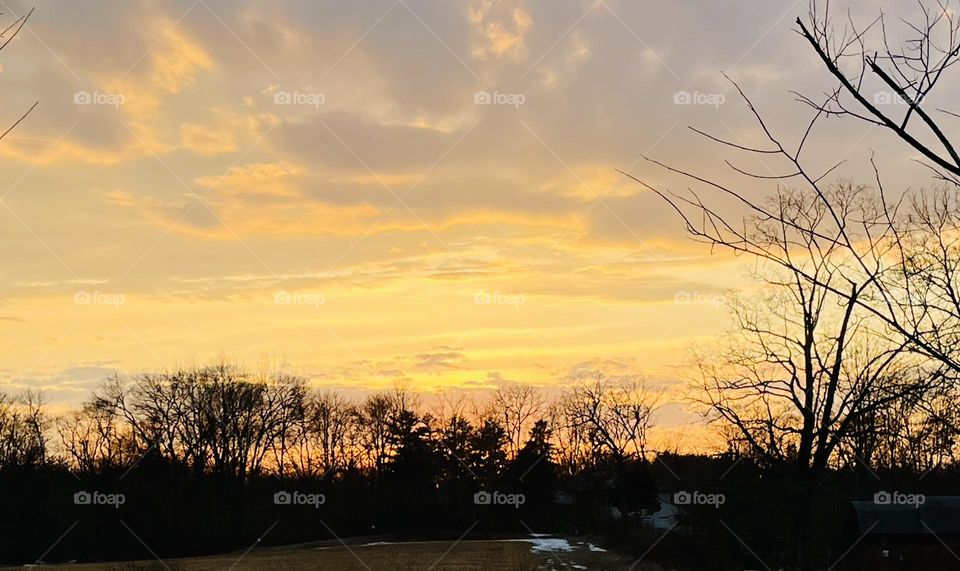 A warm orange-yellow sunset glows over the horizon, casting a soft light that contrasts beautifully with the dark, silhouetted tree line on an early March evening.