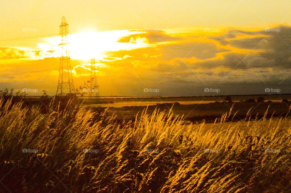 View of nature