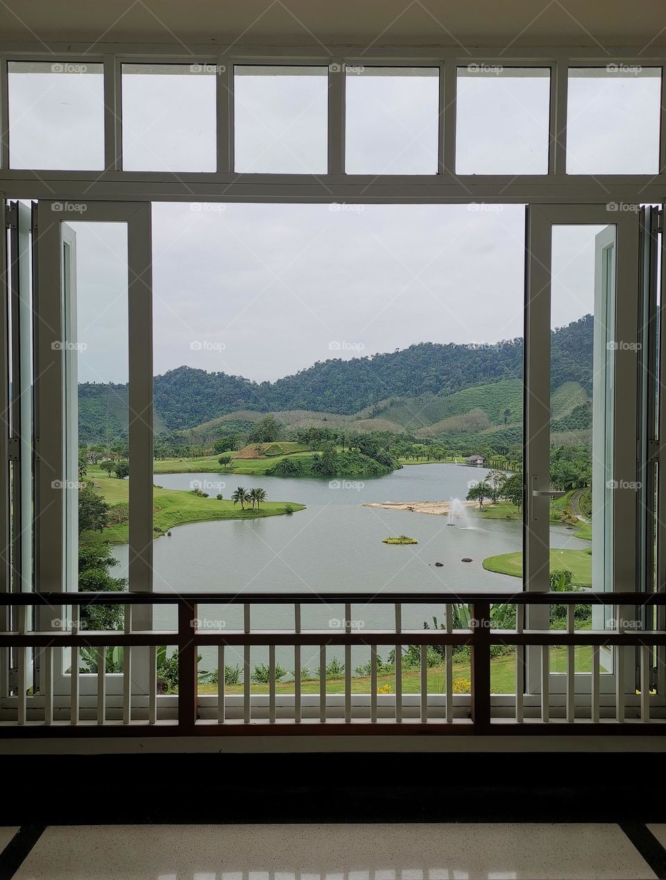 Urban nature. Water. Amazing view from window. Beautiful nature. Nice place, beautiful lake.