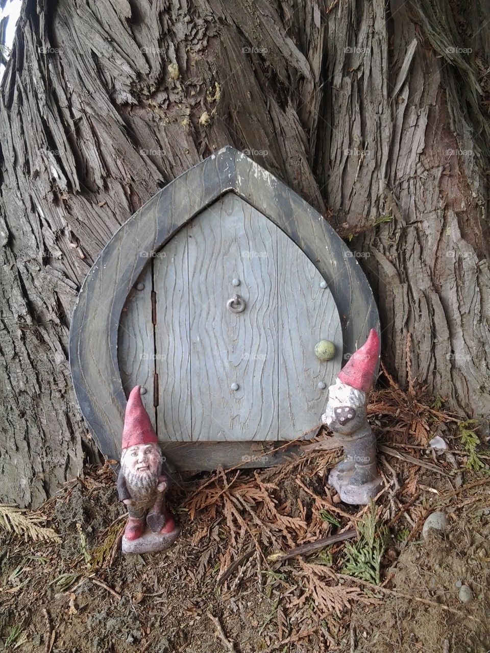 Gnomes at the front door