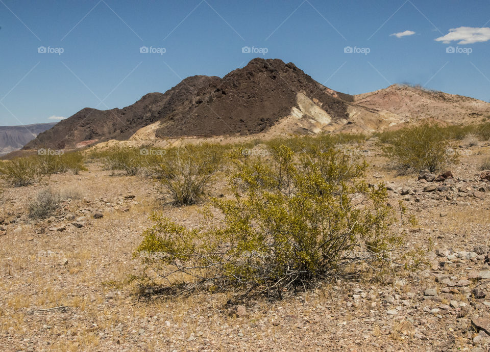 Red Rock Canyon , Mojave Desert near Las Vegas , Nevada.