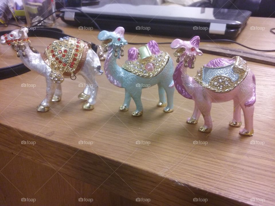 camel jewelry boxes
