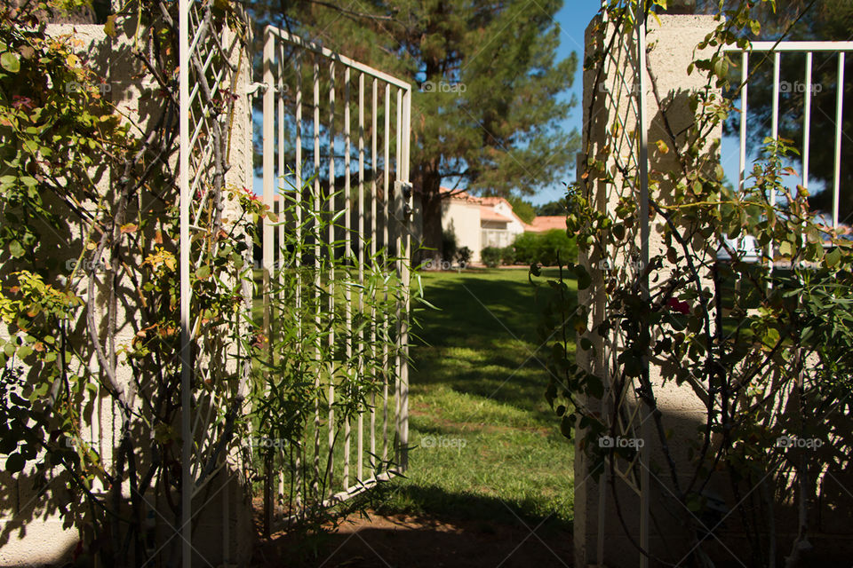 Backyard Open Gate