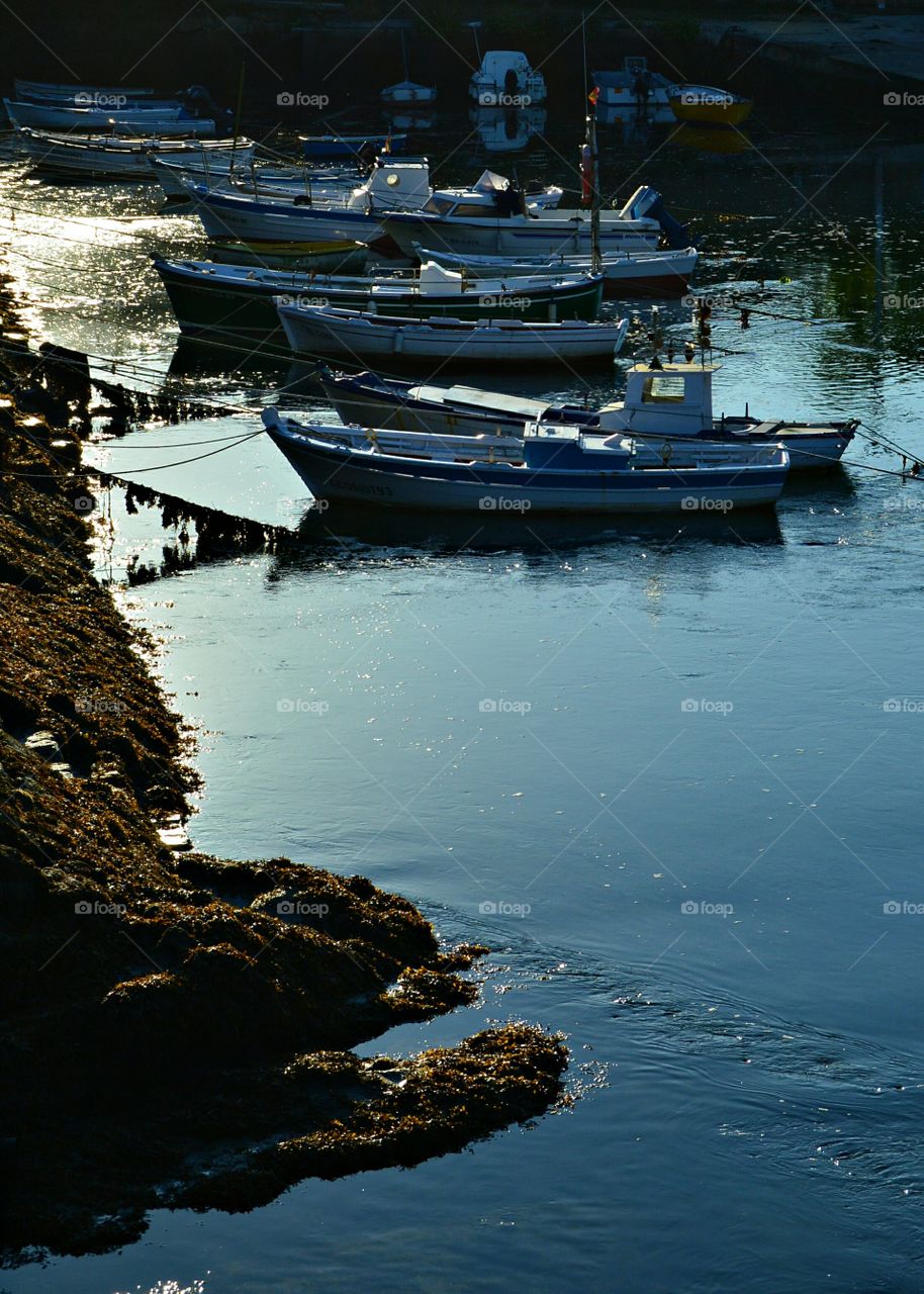 Fishing boats