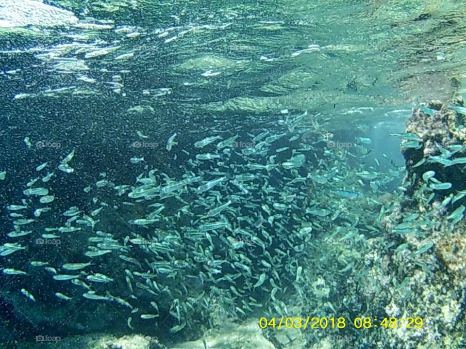 undersea of kas Turkey