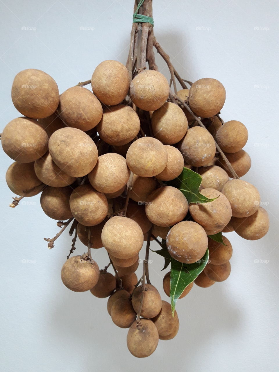 A bunch of longan fruit. Recent studies have evaluated  it as an anti-inflammatory, a memory enhancer and for anti-cancer effects.