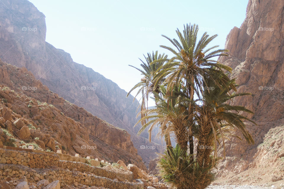 Todra Gorge, Morocco
