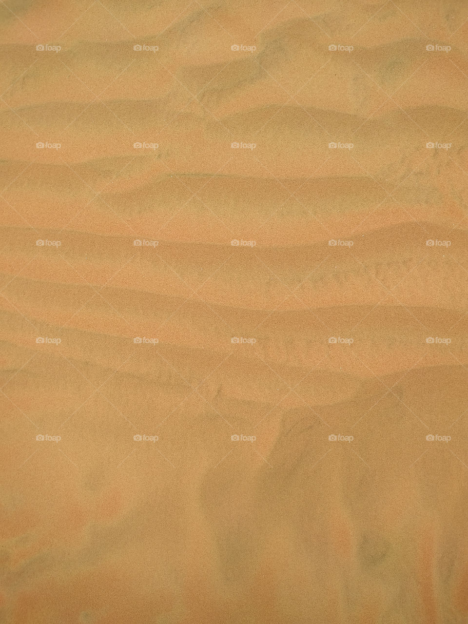 Sand texture. Sandy beach for background. Top view