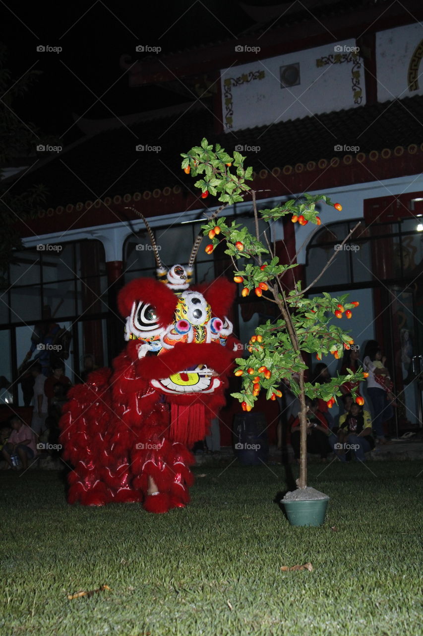 red lion dance in action