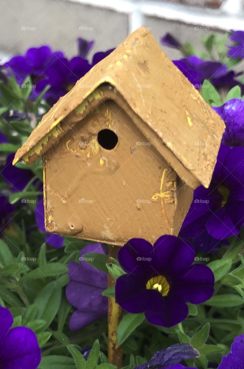 Mini birdhouse purple petunias garden time 