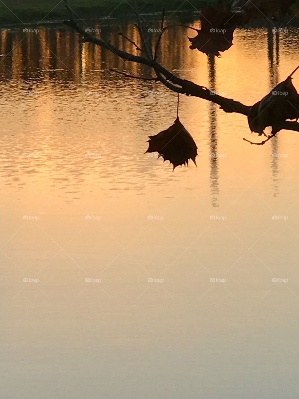 Sunset reflecting in the water