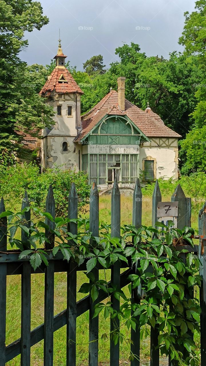 Abandoned villa in the forest